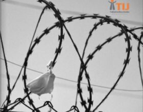 TIJ Prison report